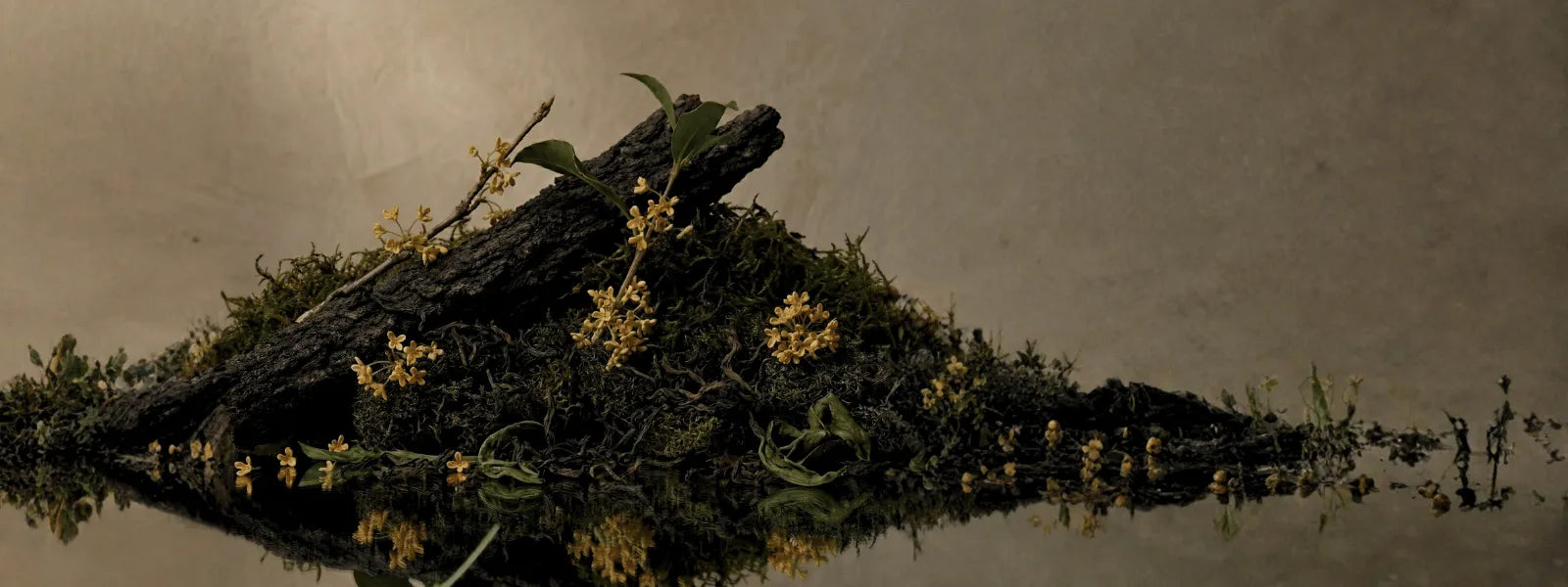 Vase Creation Osmanthus Oolong tea aroma concept